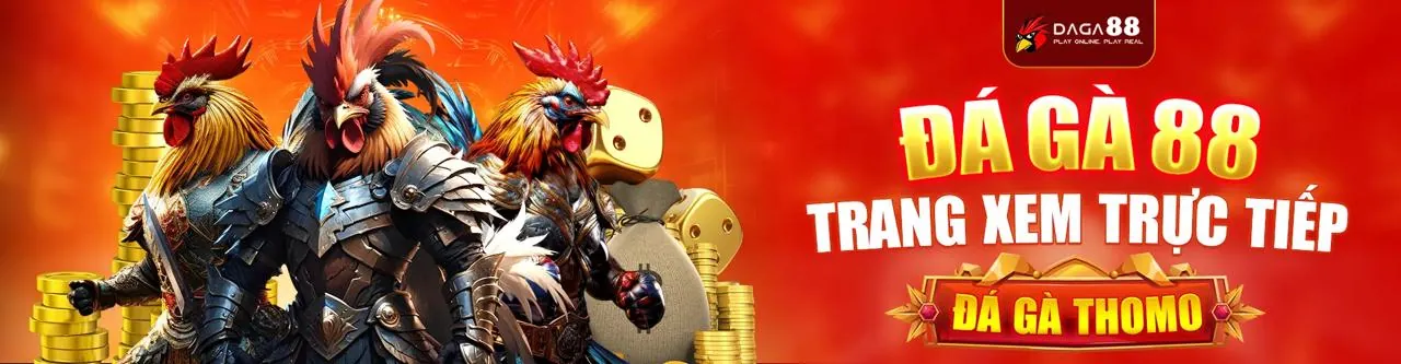 Đấu trường đá gà Thomo Tài Xỉu hấp dẫn