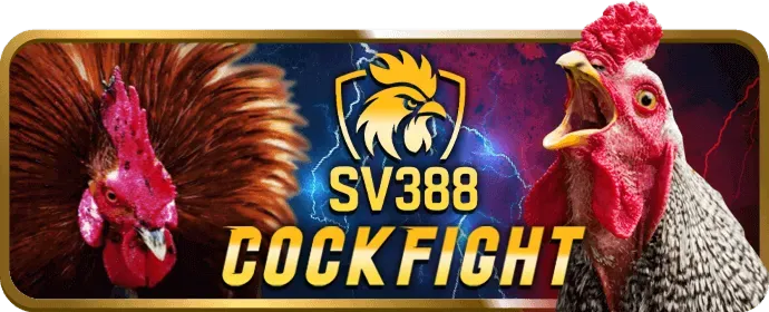 Ưu đãi VIP đá gà thomo